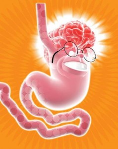 Senhor Intestino